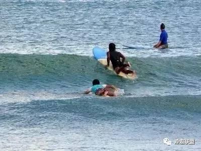 江心园区长江岸线全面完成清理整改